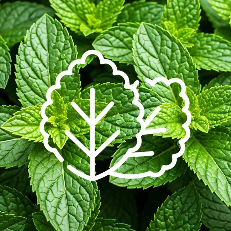 Menthol