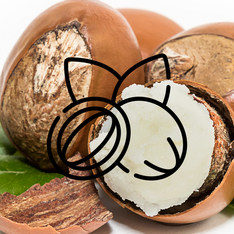 Shea Butter